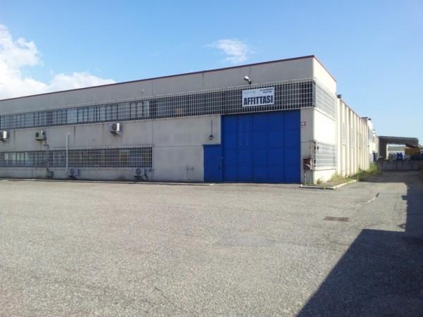Capannone in Via Lucrezia Romana 113, Ciampino, {3} - Foto 2