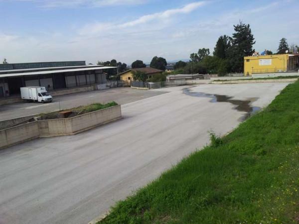 Capannone in , Roma, {3} - Planimetria 1