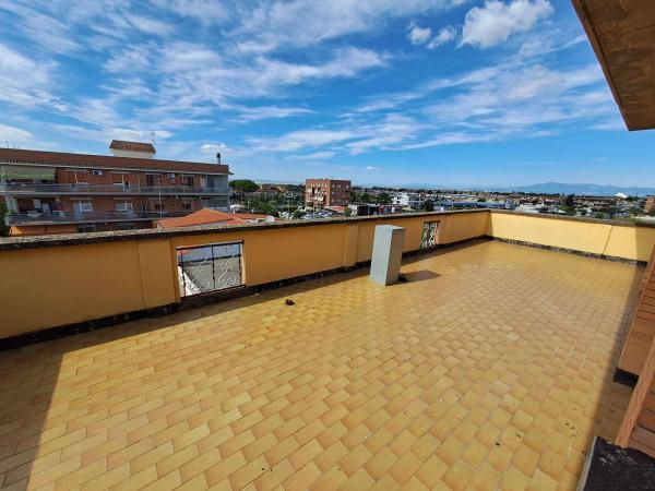 Ufficio in Viale John Fitzgerald Kennedy, Ciampino, {3} - Planimetria 1