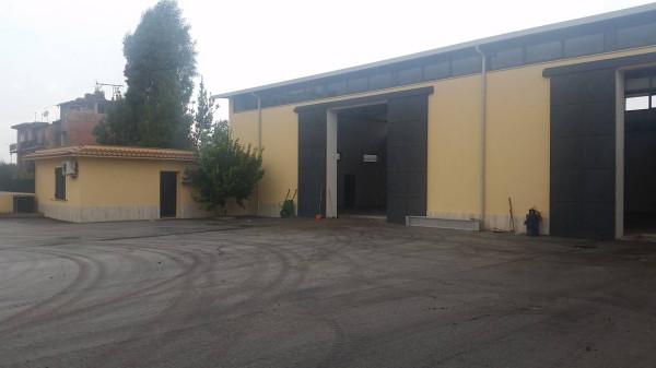 Capannone in Via Michele Migliarini 1, Roma, {3} - Foto 2