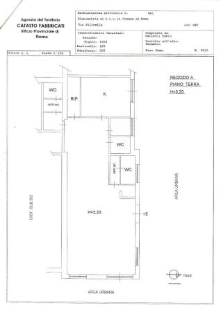 Negozio in Via Casilina 1116, Roma, {3} - Planimetria 1