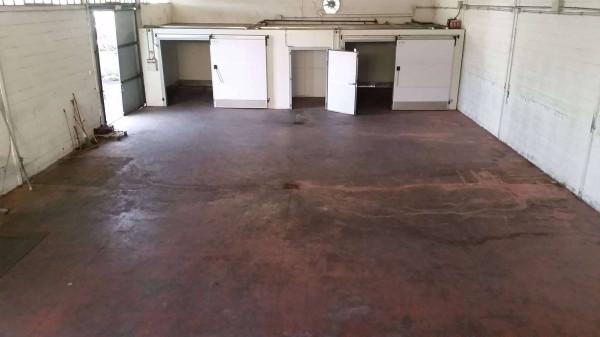 Capannone in Via Ardeatina 956-962, Roma, {3} - Planimetria 1