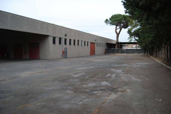 Capannone in Via Ernesto Breda, Roma, {3} - Planimetria 1