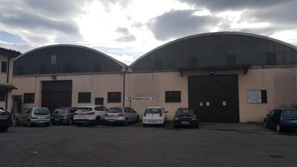Capannone in , Roma, {3} - Foto 2