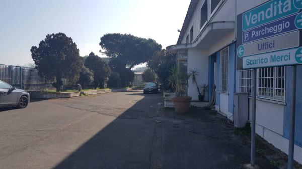 Negozio in , Roma, {3} - Foto 2