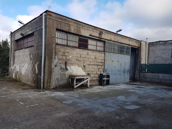 Laboratorio in Via del Sassone, Ciampino, {3} - Foto 2