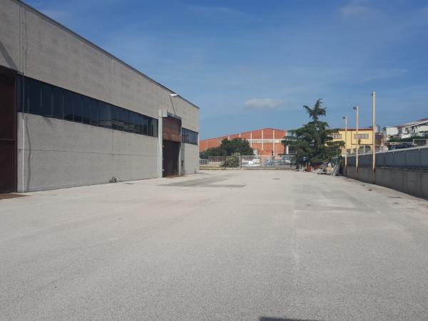Capannone in Strada Provinciale Albano Torvaianica, Pomezia, {3} - Foto 1