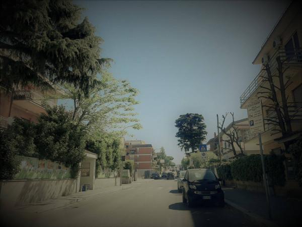 Negozio in Via Giovanni Pascoli, Marino, {3} - Foto 2