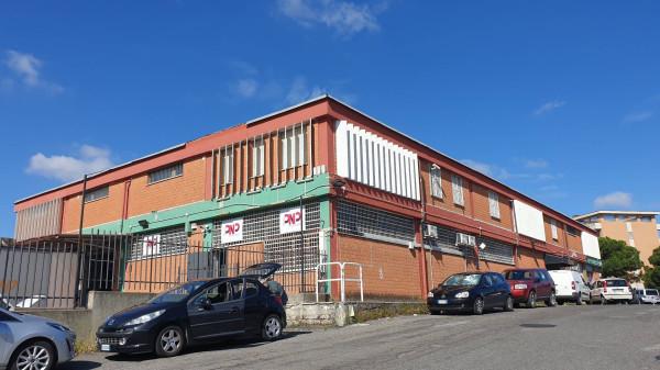 Ufficio in Via Bernardino Alimena, Roma, {3} - Planimetria 1