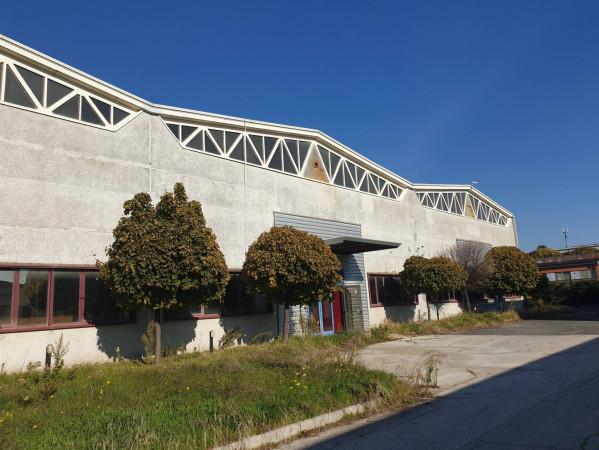 Capannone in Via Nettunense, Albano Laziale, {3} - Foto 1