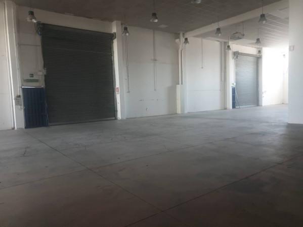 Capannone in Via Nettunense, Albano Laziale, {3} - Planimetria 1