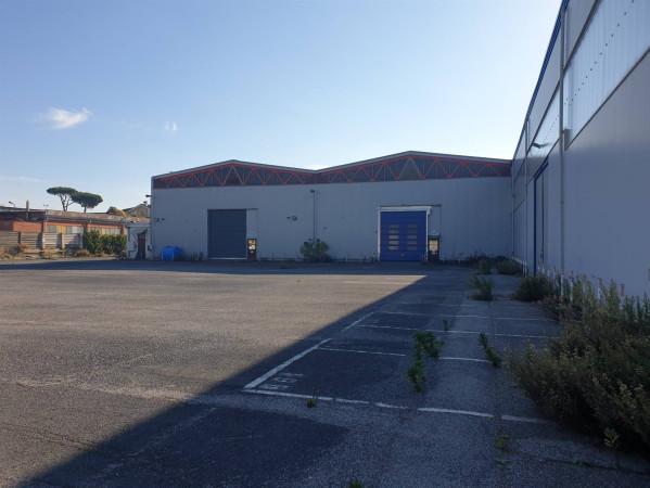 Capannone in Via Appia, Roma, {3} - Planimetria 1