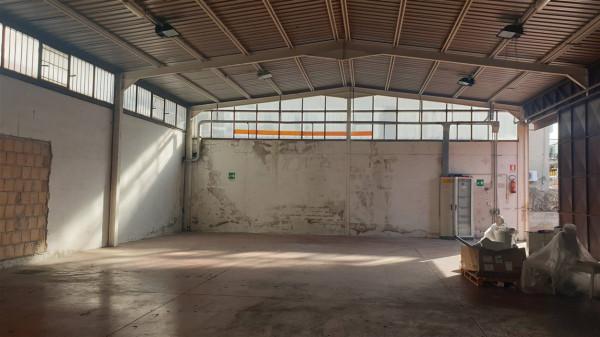 Capannone in Via Michele Migliarini, Roma, {3} - Planimetria 1