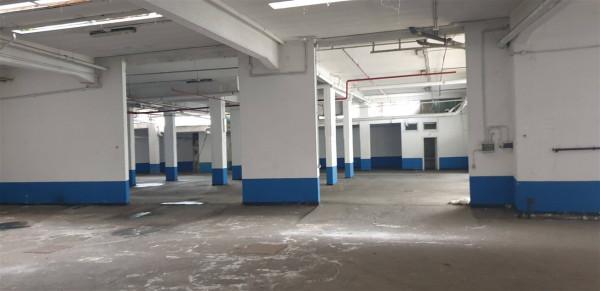 Magazzino in Via Italia 30, Ciampino, {3} - Foto 1