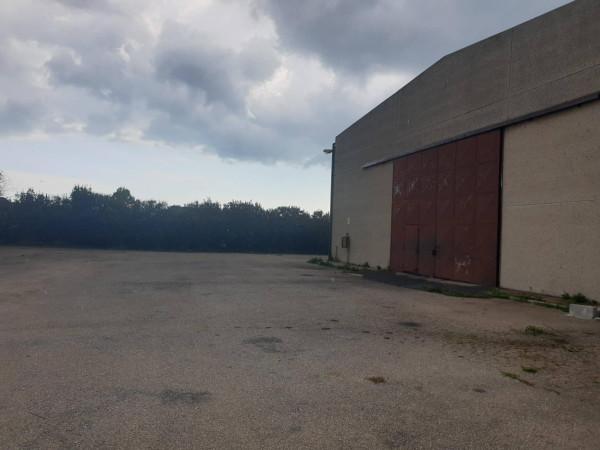 Capannone in Strada Regionale Pontina, Pomezia, {3} - Planimetria 1