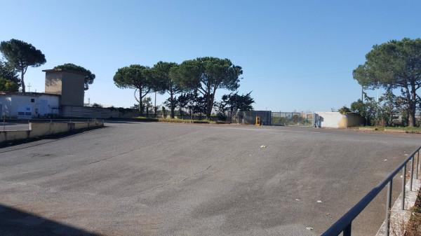 Capannone in Strada Provinciale Laurentina, Roma, {3} - Foto 2