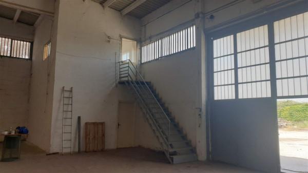 Capannone in Via Prenestina 1089b, Roma, {3} - Planimetria 1