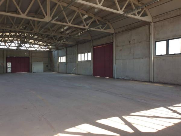 Capannone in Via Casilina, Montecompatri, {3} - Planimetria 1