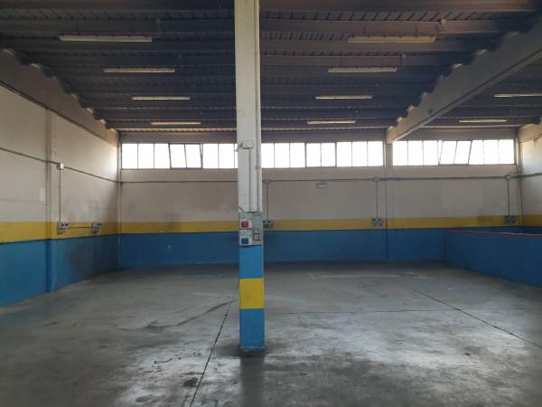 Capannone in Via Casilina, Montecompatri, {3} - Planimetria 1