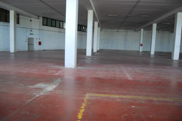 Capannone in Via Aurelia 165, Roma, {3} - Planimetria 1