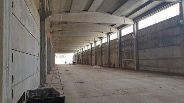 Capannone in Strada Regionale Pontina, Pomezia, {3} - Planimetria 1