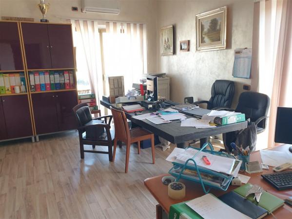 Negozio in Via Casilina, Montecompatri, {3} - Foto 2