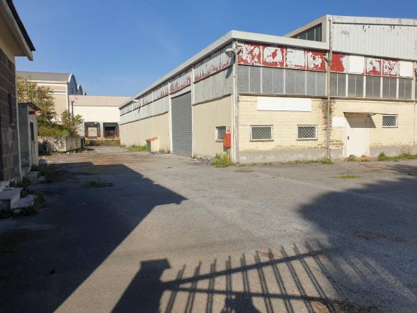 Capannone in Strada Regionale Pontina, Pomezia, {3} - Foto 1