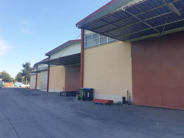 Capannone in Via Ettore Gabrici, Roma, {3} - Planimetria 1