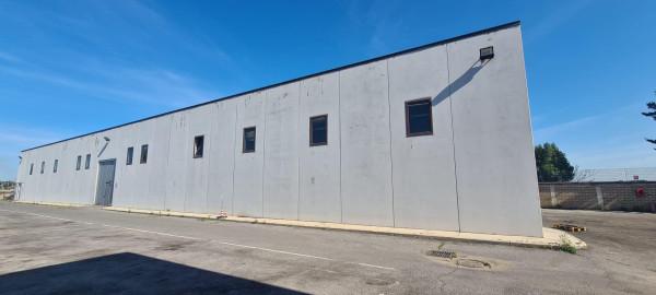 Capannone in Via Aurelia, Roma, {3} - Planimetria 1