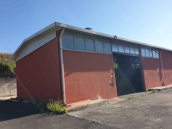 Capannone in Via Aurelia, Roma, {3} - Planimetria 1