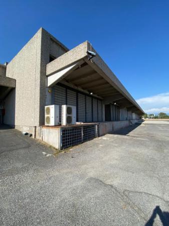 Capannone in Via Tiburtina, Roma, {3} - Planimetria 1