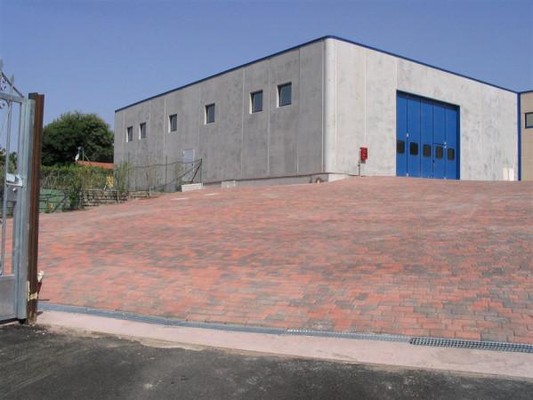 Capannone in Strada Provinciale dei Laghi, Marino, {3} - Foto 2