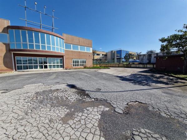 Capannone in Strada Provinciale Ardeatina, Roma, {3} - Planimetria 1