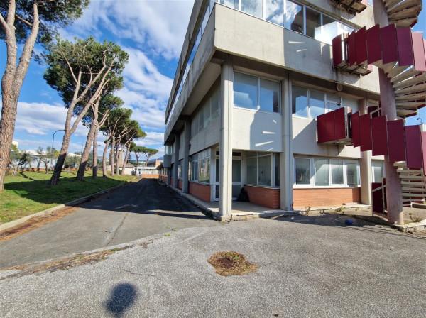 Capannone in Via Appia Nuova 1510, Roma, {3} - Foto 2