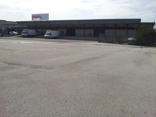Capannone in Via Maremmana, San Cesareo, {3} - Foto 2