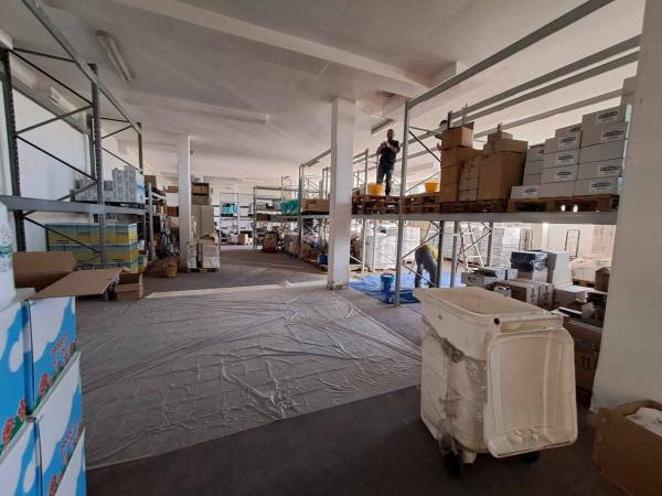 Capannone in Via della Magliana 684, Roma, {3} - Planimetria 1
