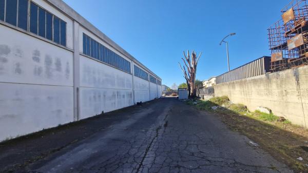 Magazzino in Autostrada del Sole, Monterotondo, {3} - Foto 2