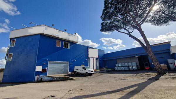 Negozio in Via Silicella, Roma, {3} - Planimetria 1