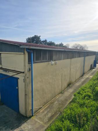 Magazzino in Via Colle Nasone, Albano Laziale, {3} - Planimetria 1