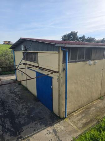 Magazzino in Via Colle Nasone, Albano Laziale, {3} - Foto 2