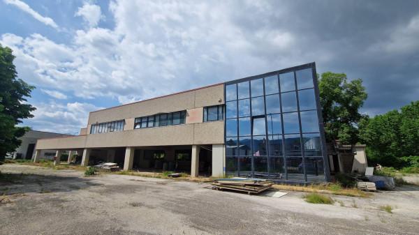 Capannone in Via Carpinetana Nord, Colleferro, {3} - Planimetria 1