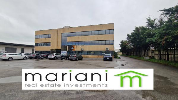 Magazzino in Strada Provinciale Ardeatina, Roma, {3} - Planimetria 1