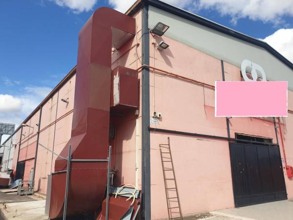 Magazzino in Viale della Sorbona, Roma, {3} - Foto 1