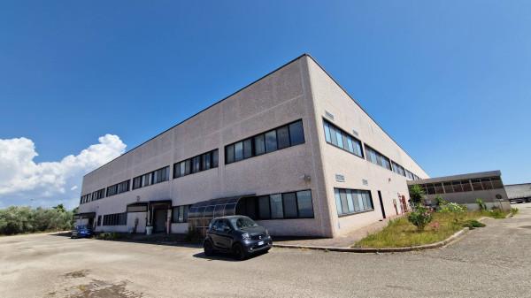 Capannone in Via Nettunense, Lanuvio, {3} - Planimetria 1