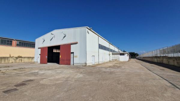 Magazzino in Via Laurentina, Pomezia, {3} - Foto 2