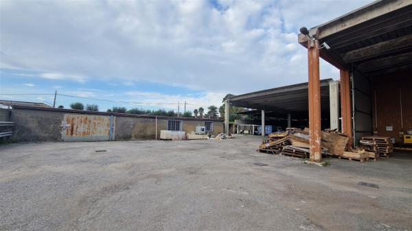 Magazzino in Via Appia, Roma, {3} - Foto 2