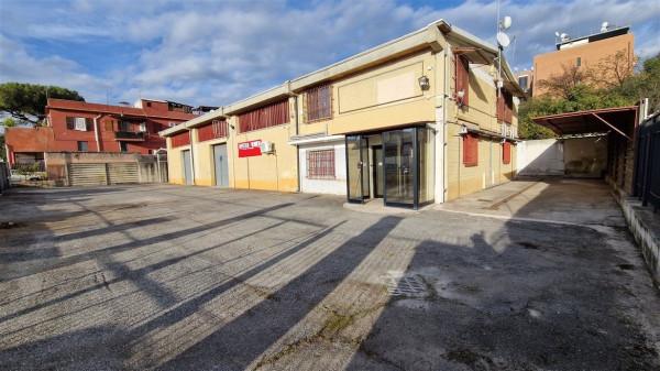 Magazzino in Via Monteleone di Fermo 2, Roma, {3} - Foto 2