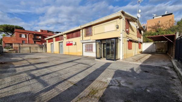 Negozio in Via Tiburtina 1150, Roma, {3} - Foto 2
