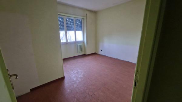 Negozio in Strada Provinciale Tuscolana, Frascati, {3} - Foto 2