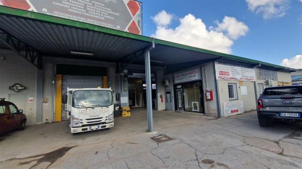 Capannone in Via Tuscolana 15b, Frascati, {3} - Foto 2